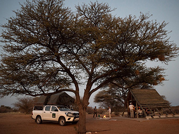 Aventura y naturaleza entre Botswana y Sudáfrica